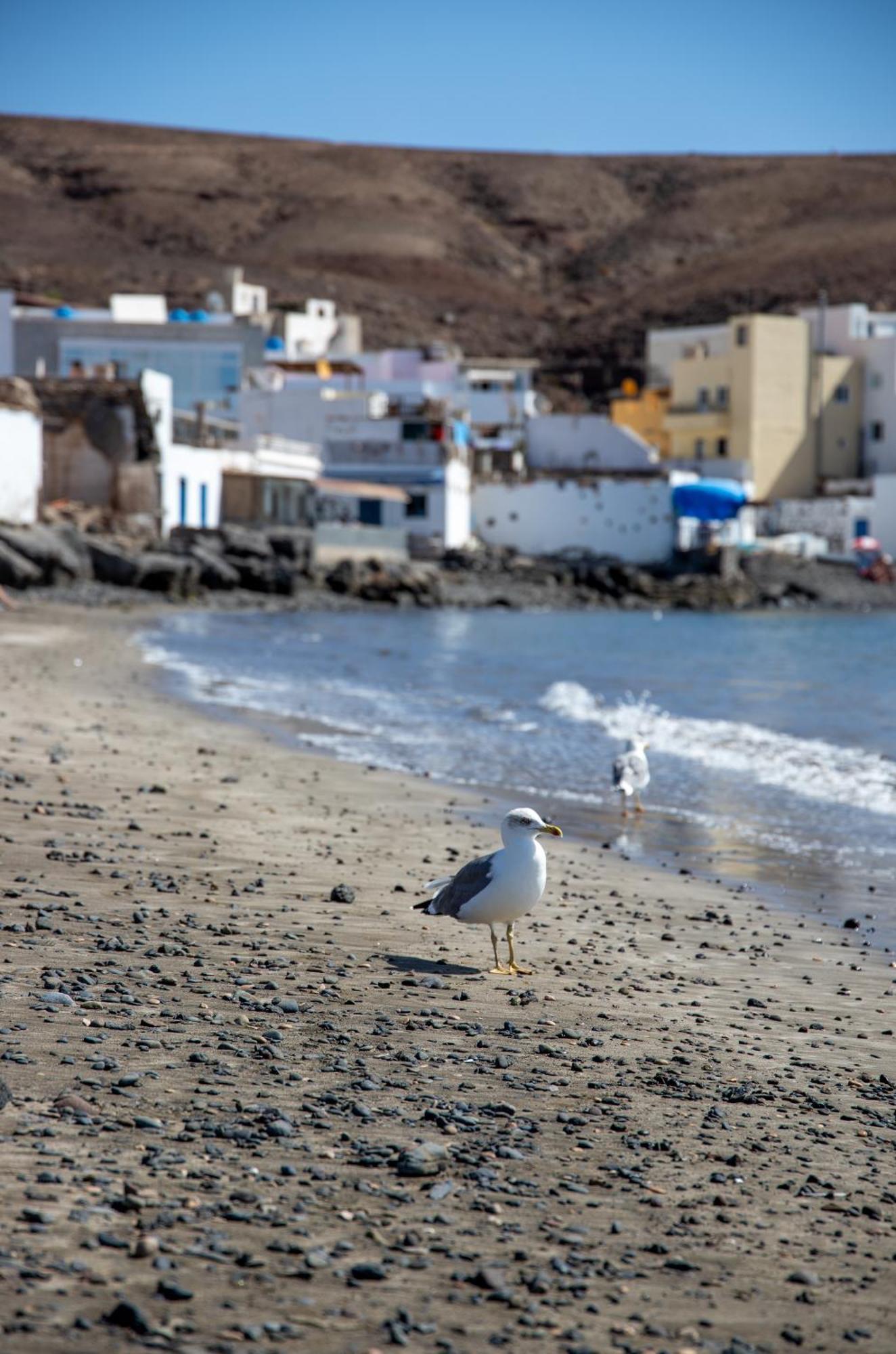 Palm Beach Fuerteventura Tarajalejo Esterno foto